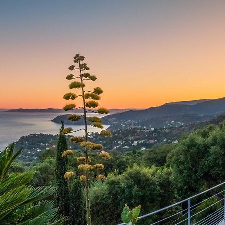Le Rayol-Canadel-sur-Mer Vistazur Luxueux Appartement Avec Terrasse Et Piscine מראה חיצוני תמונה