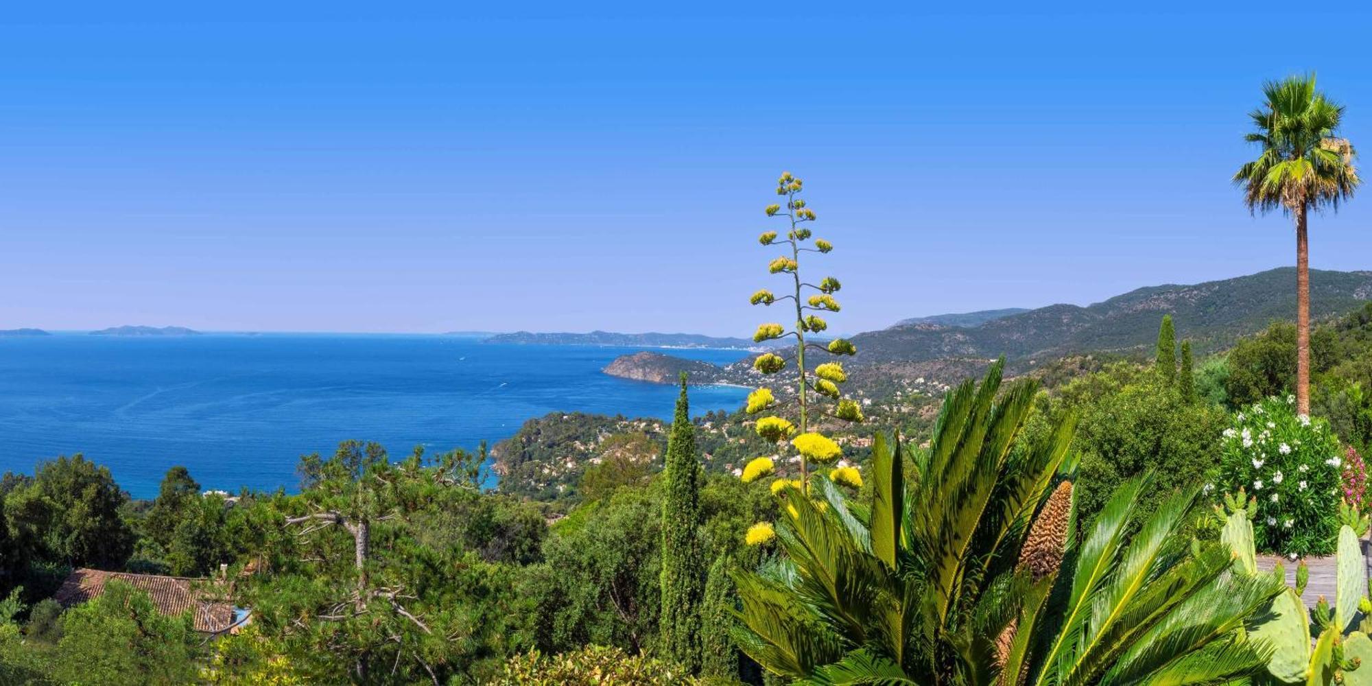 Le Rayol-Canadel-sur-Mer Vistazur Luxueux Appartement Avec Terrasse Et Piscine מראה חיצוני תמונה